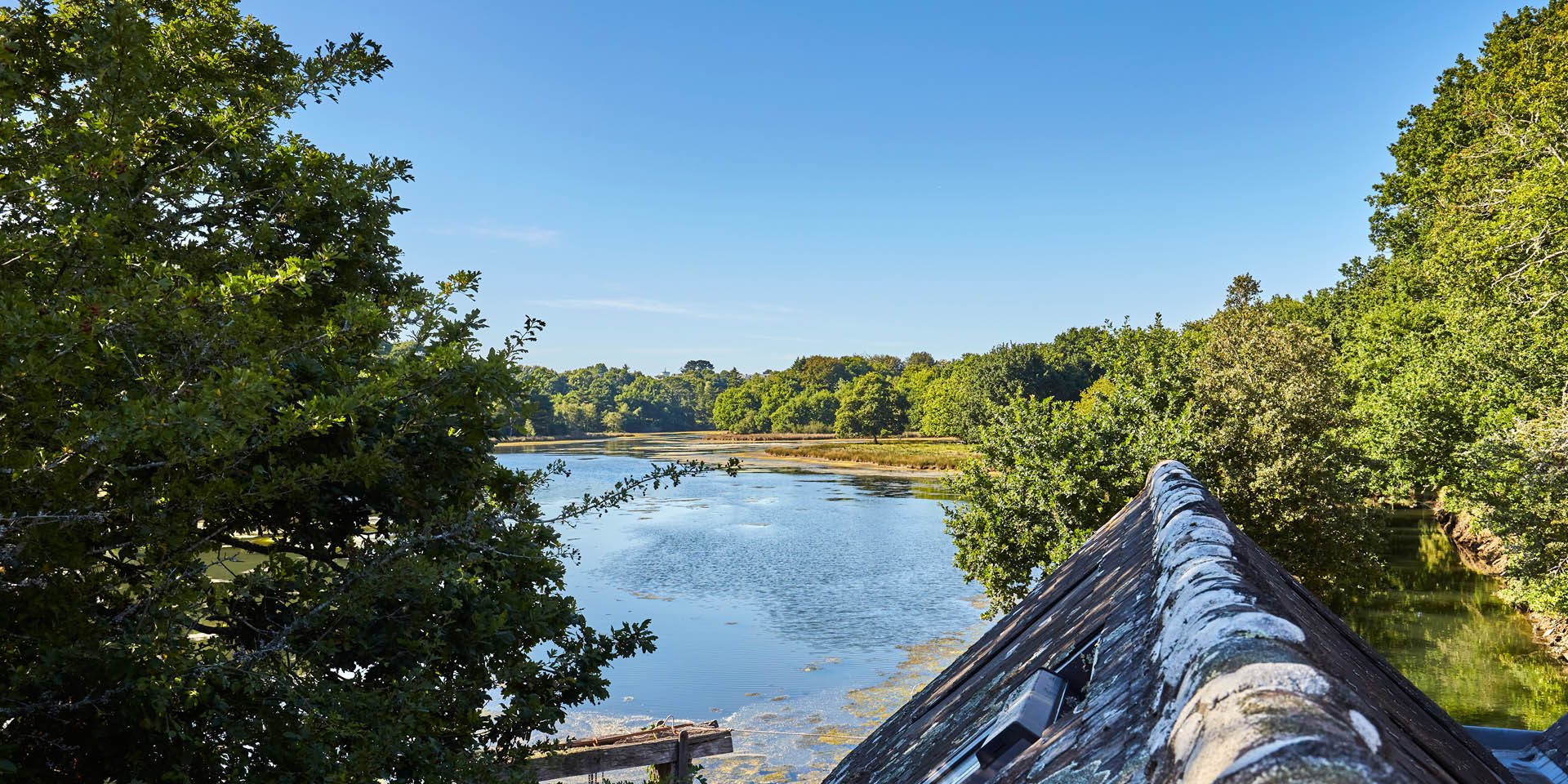 Bois et anse de Penfoulic