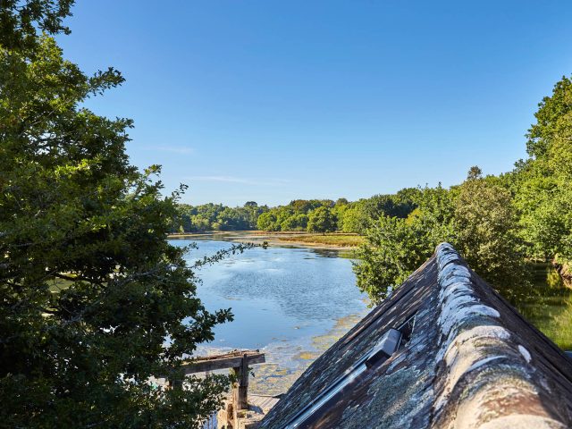 Bois et anse de Penfoulic