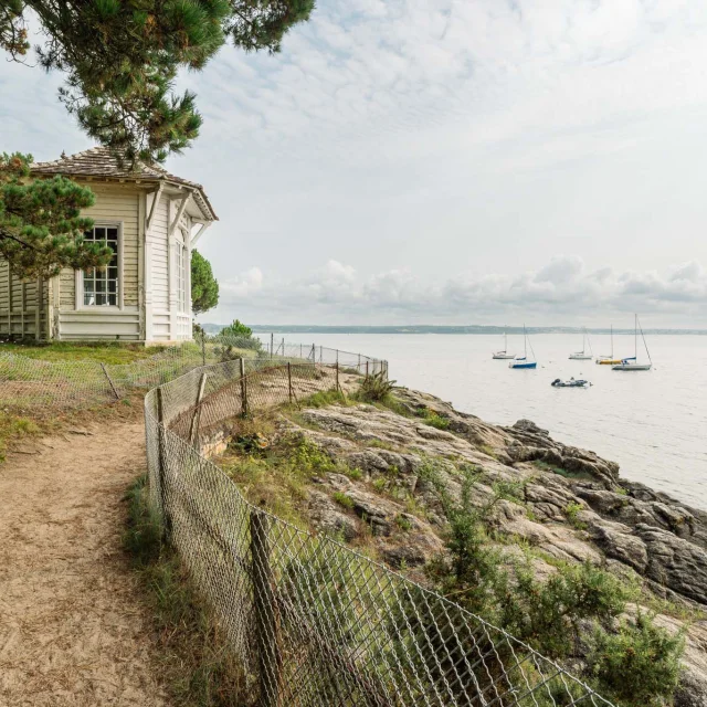 Fotograf - Videokünstler