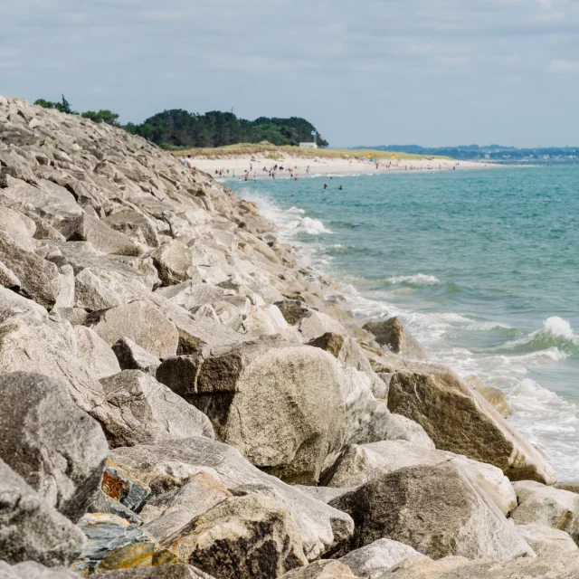 Fotograf - Videokünstler