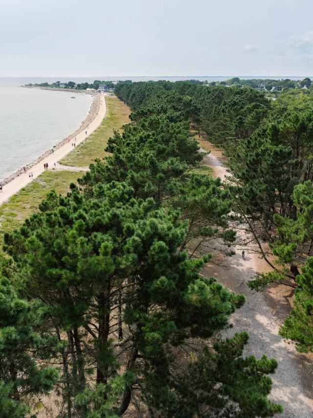 Photographe - vidéaste