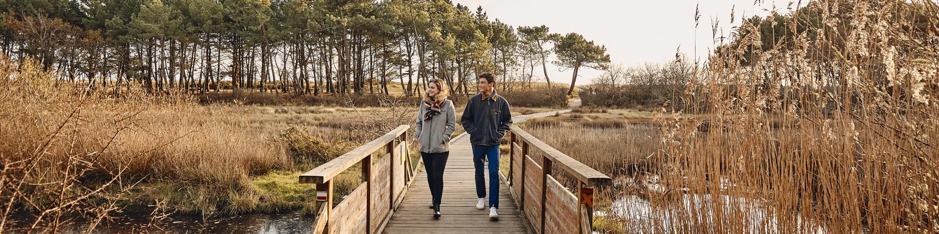 Marais, vers le Maner