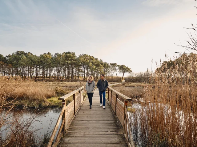 Marshes, towards le Maner
