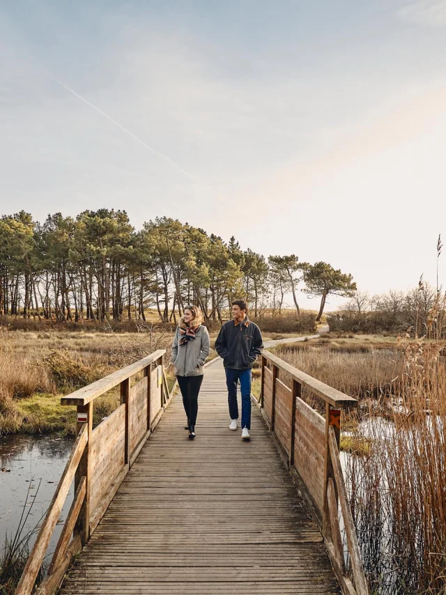 Marais, vers le Maner
