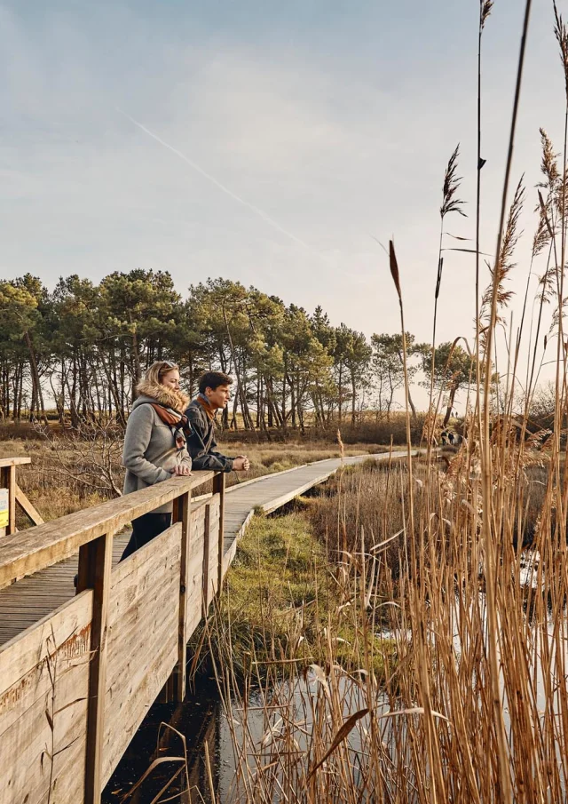 Marais, vers le Maner