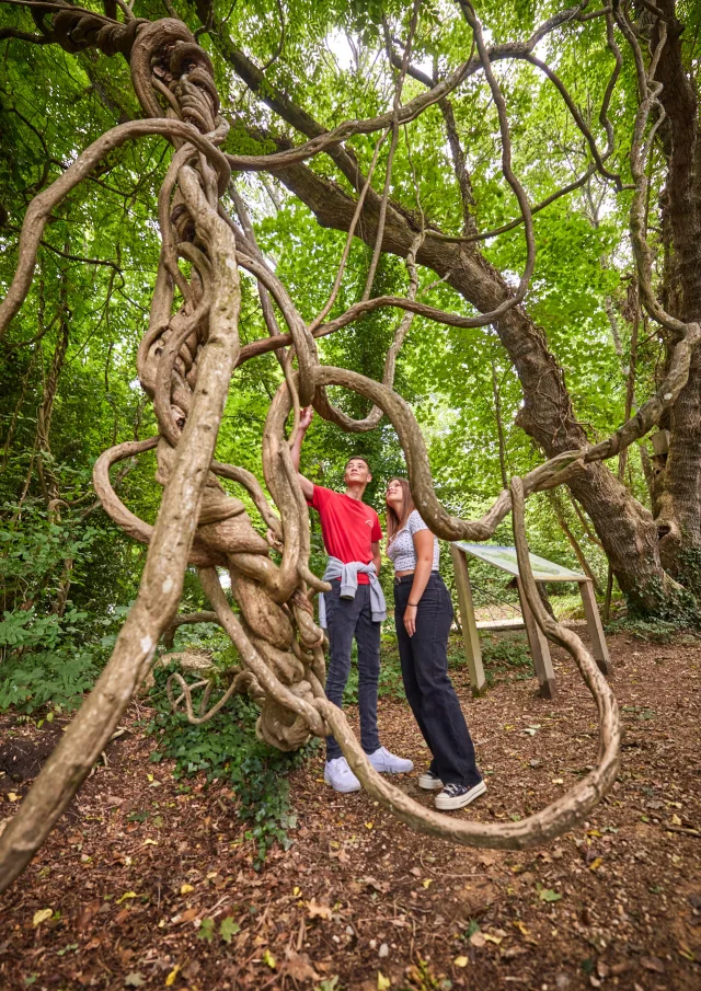 Flg22@alamoureux D6a0141