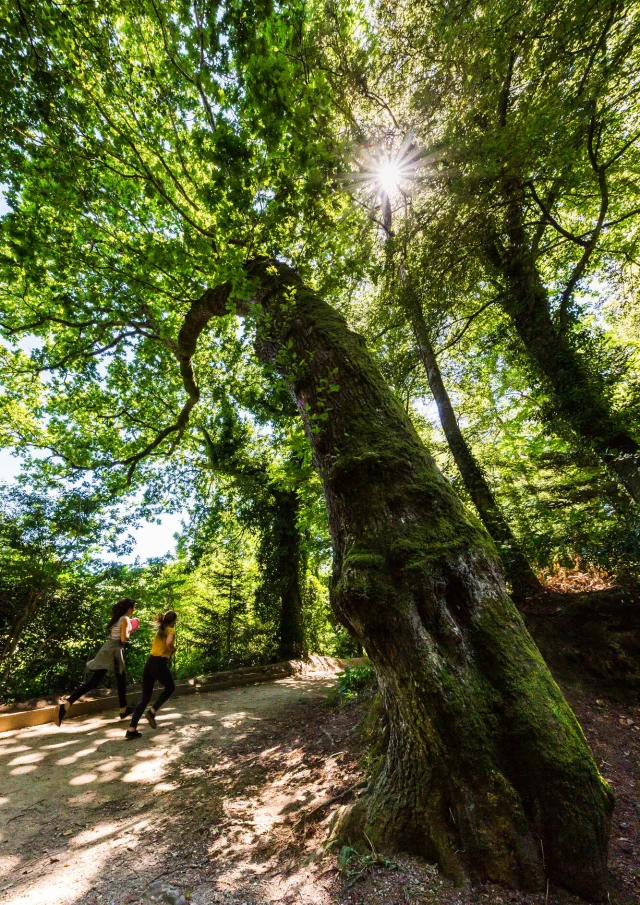 Fouesnant Loeil De Paco Riviera Bretonne 2018 22 1