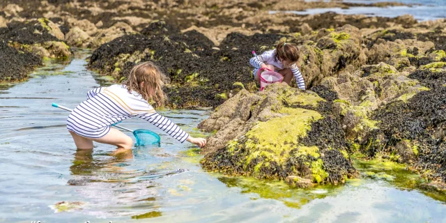 Fouesnant Phillipe Meunier 2019 170