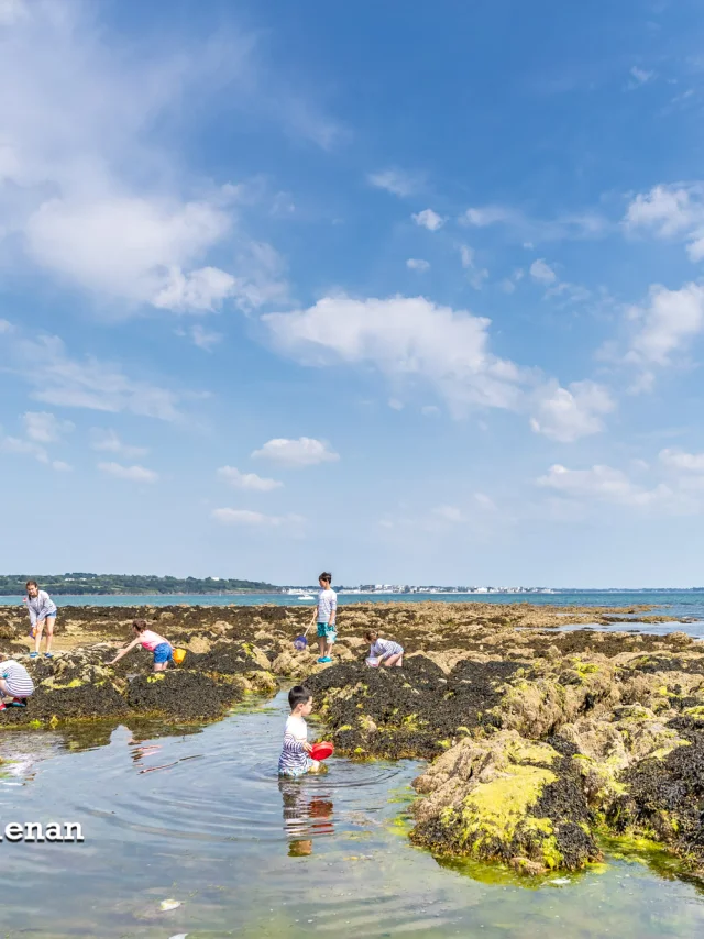 Fouesnant Phillipe Meunier 2019 173