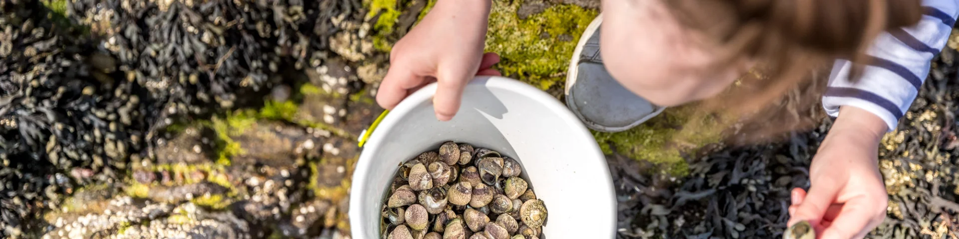 Fouesnant Phillipe Meunier 2019 182