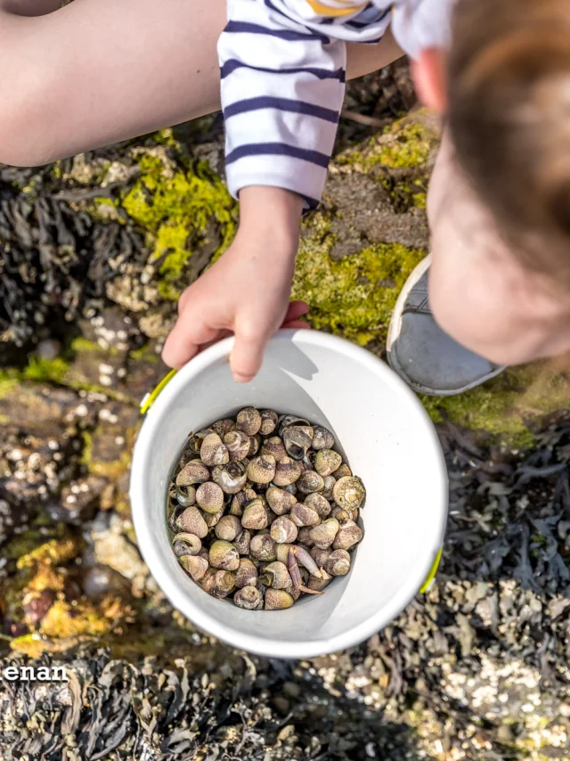 Fouesnant Phillipe Meunier 2019 182