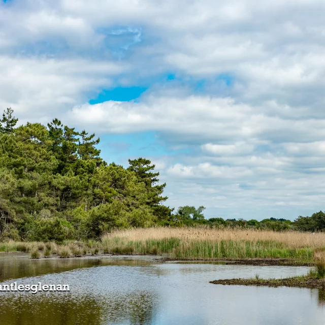 Fouesnant Phillipe Meunier 2019 379