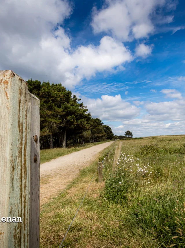 Fouesnant Phillipe Meunier 2019 405