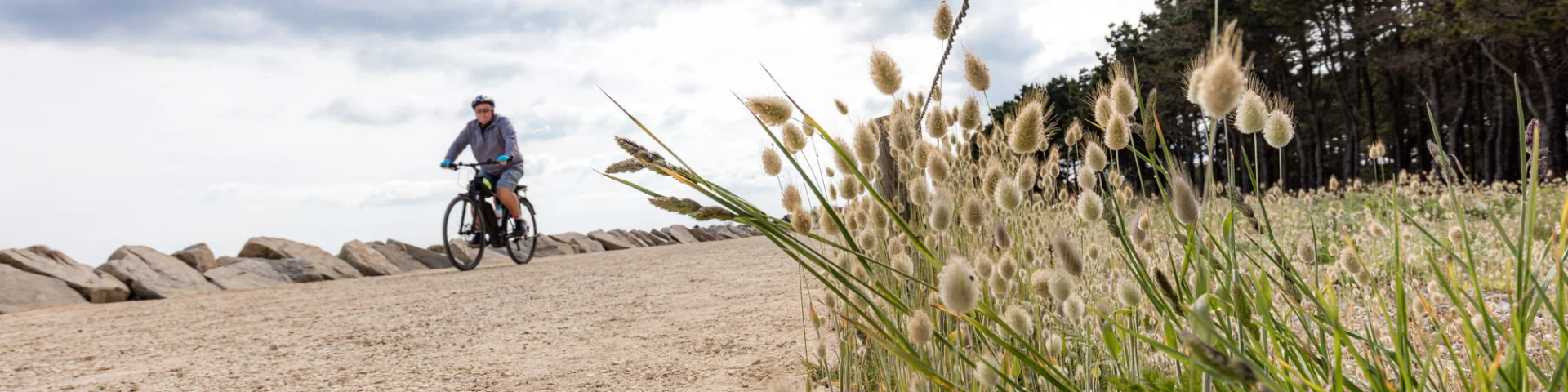 Fouesnant Phillipe Meunier 2019 413