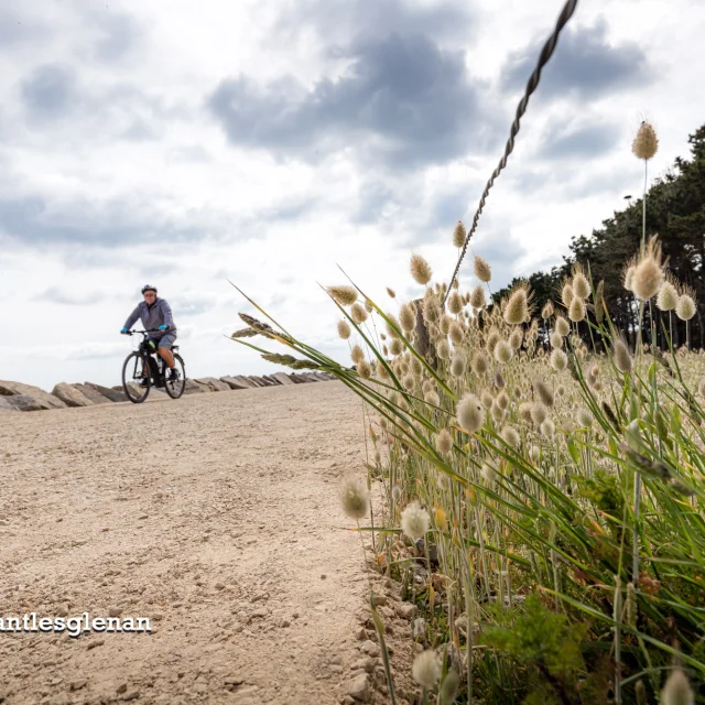 Fouesnant Phillipe Meunier 2019 413