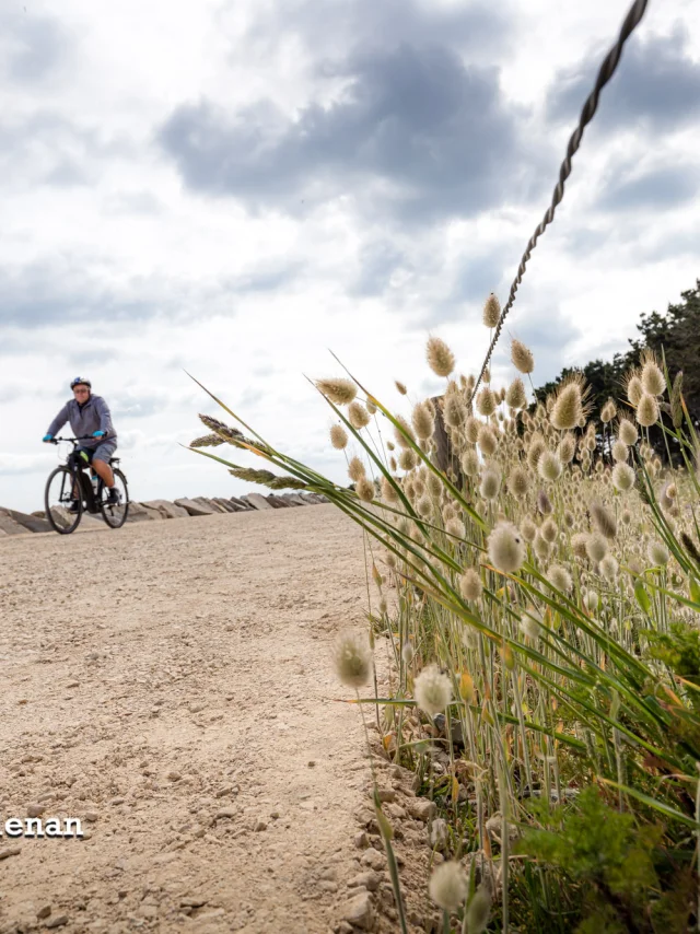 Fouesnant Phillipe Meunier 2019 413