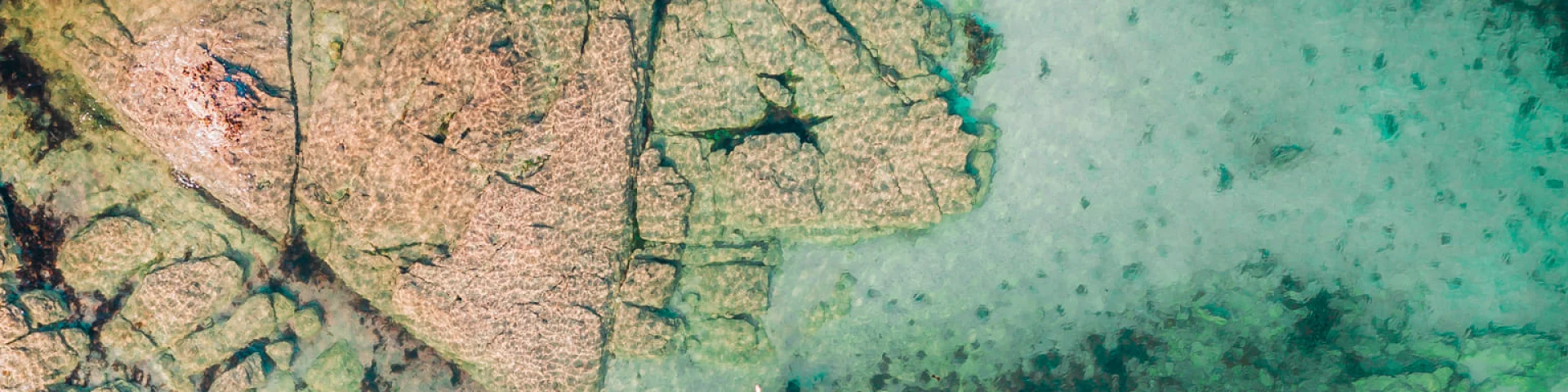 Fouesnant Riviera Bretonne Lezbroz 2020 14 2