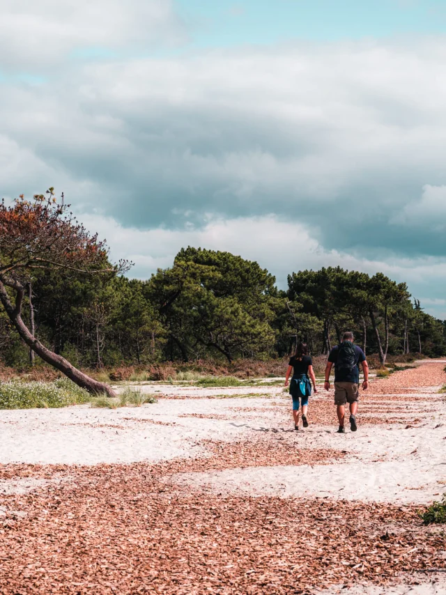 Fouesnant Riviera Bretonne Lezbroz 2020 17 2
