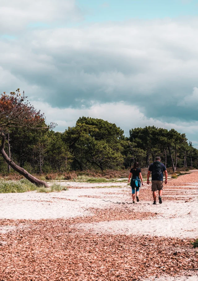 Fouesnant Riviera Bretonne Lezbroz 2020 17