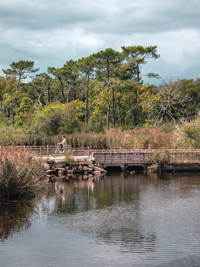 Fouesnant Riviera Bretonne Lezbroz 2020 18 2