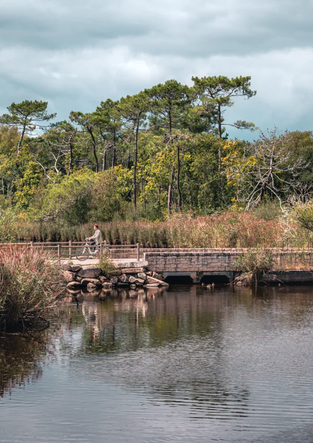 Fouesnant Riviera Bretonne Lezbroz 2020 18 2