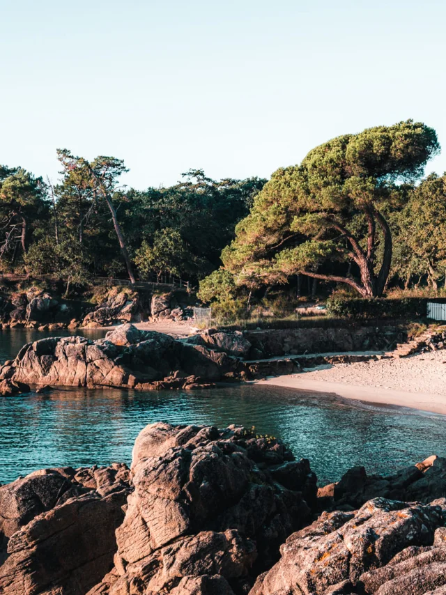 Fouesnant Riviera Bretonne Lezbroz 2020 24 2