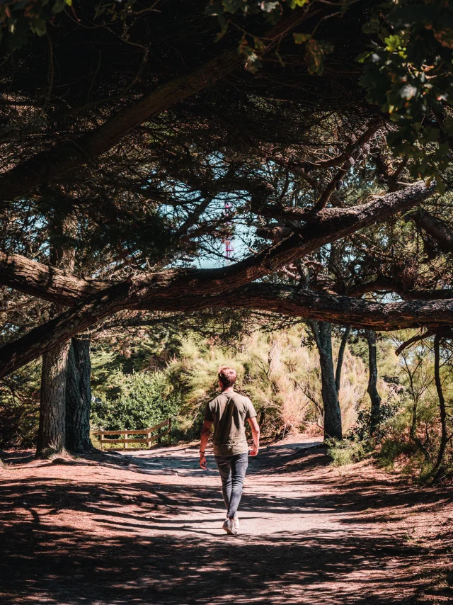 Fouesnant Riviera Bretonne Lezbroz 2020 27 2