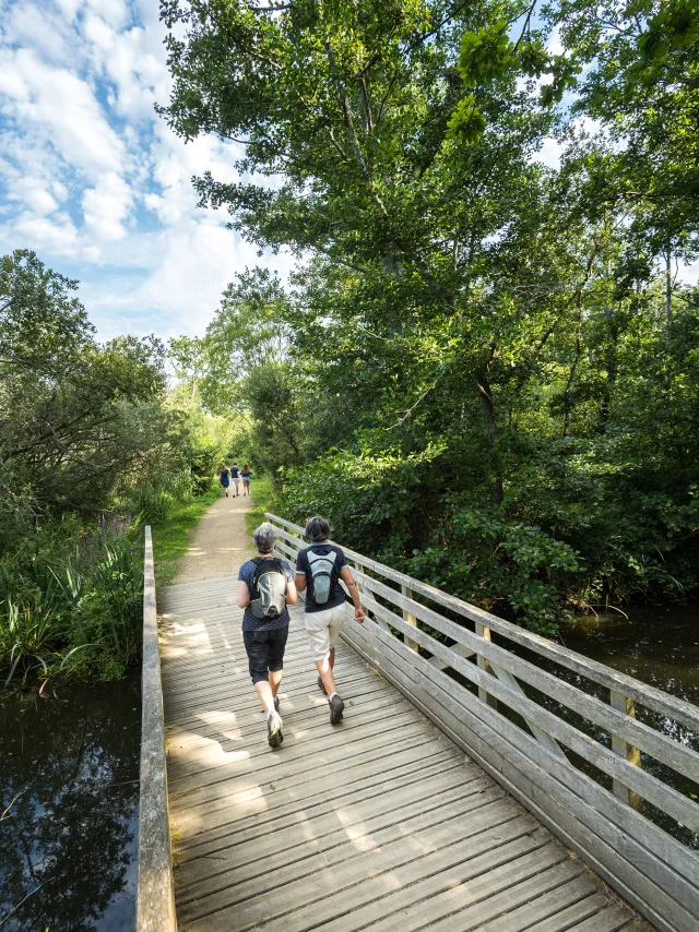 France, Finistere (29), Fouesnant, les marais de Mousterlin