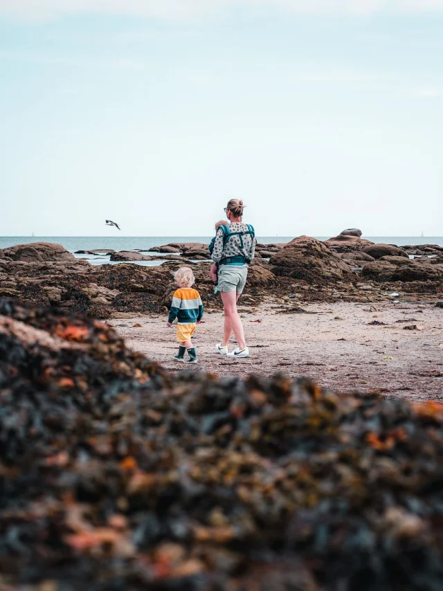 Crtb Ae01696 Verneuil Teddy Lezbroz