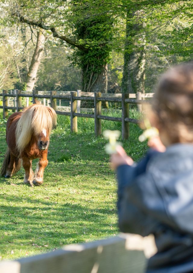 2025 0410 Bretagne Finistere Fouesnant Earth Dsc09963 Rle