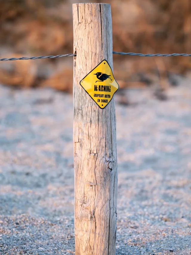 2025 0409 Bretagne Finistere Fouesnant Earth Dsc09660 Rle Min