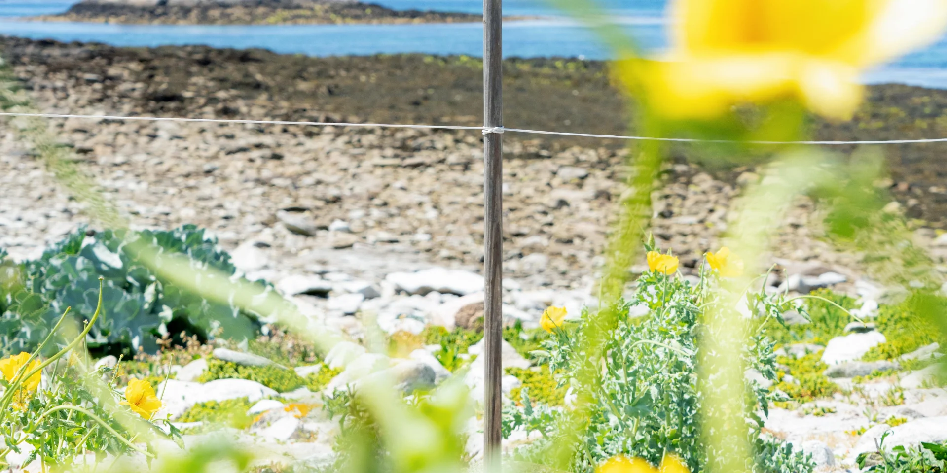 2025 0617 Bretagne Finistere Lesglenan Dsc00668 Rle Min