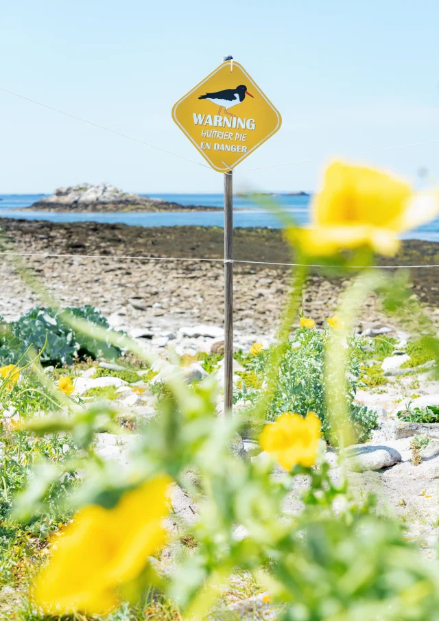 2025 0617 Bretagne Finistere Lesglenan Dsc00668 Rle Min