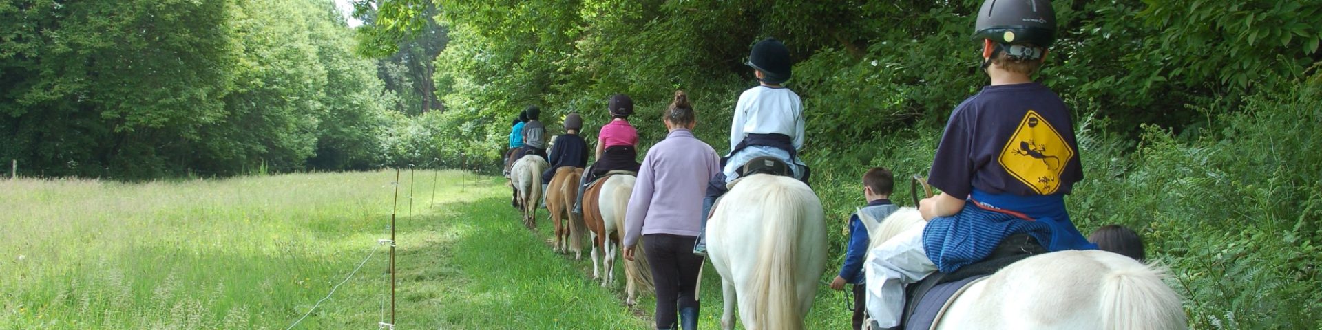 192238 Lanveron Poney Club 4