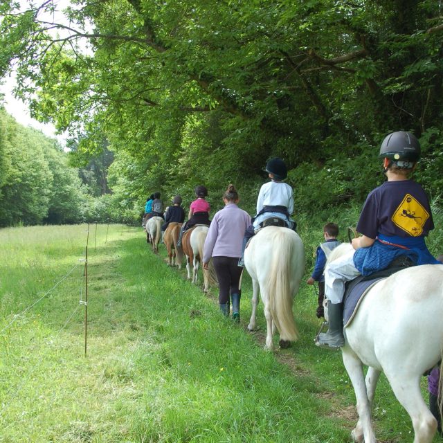 192238 Lanveron Poney Club 4