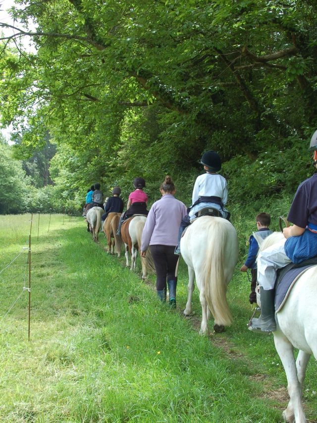 192238 Lanveron Poney Club 4