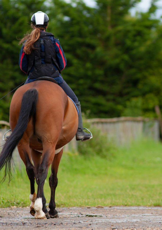 Pexels Theotherkev 6069327