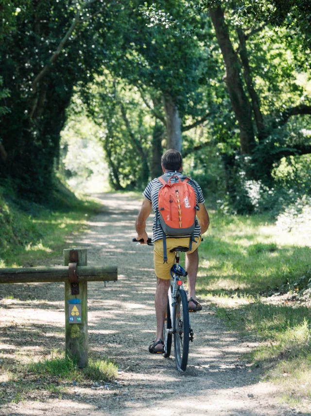 Photographe - vidéaste