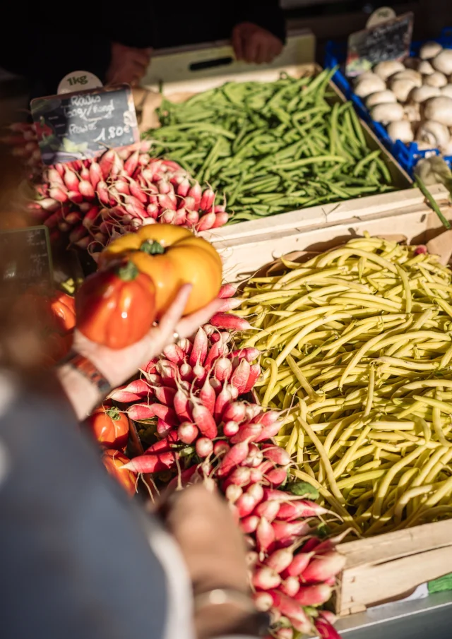 Photographe - vidéaste