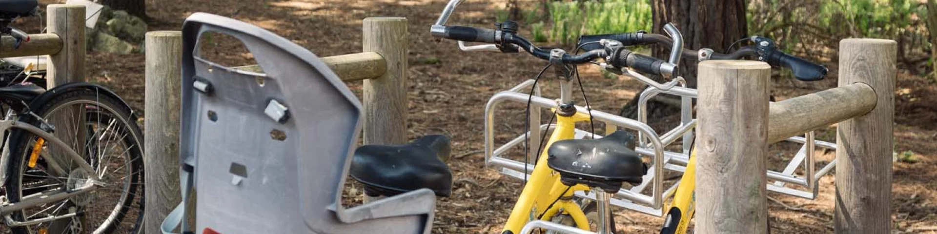 Photographer - videographer