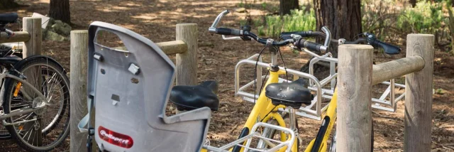 Fotograf - Videokünstler