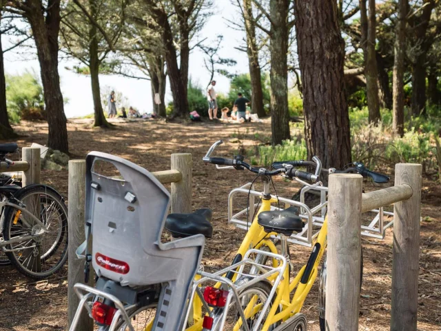 Photographe - vidéaste