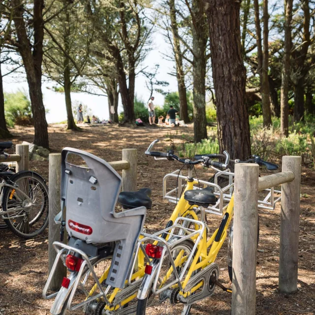 Photographe - vidéaste