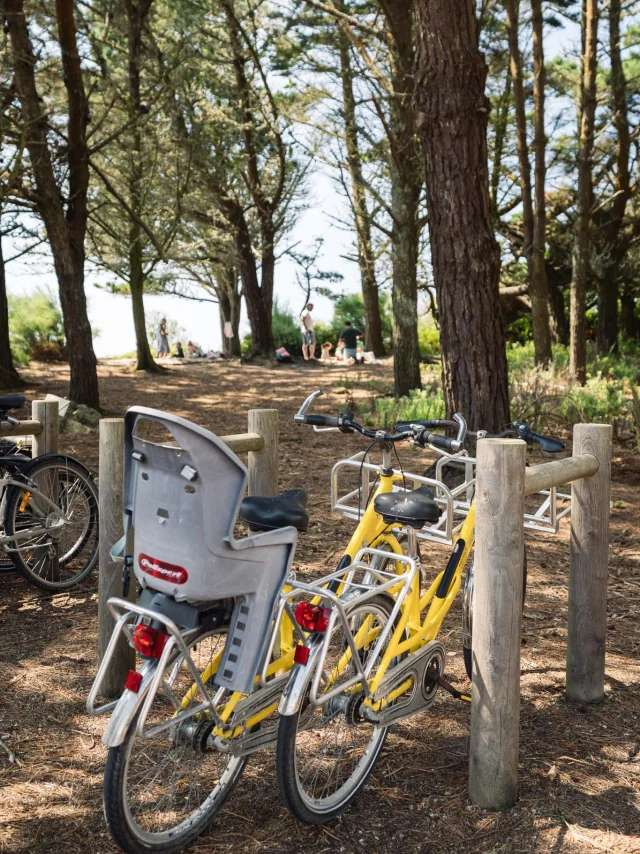 Photographe - vidéaste