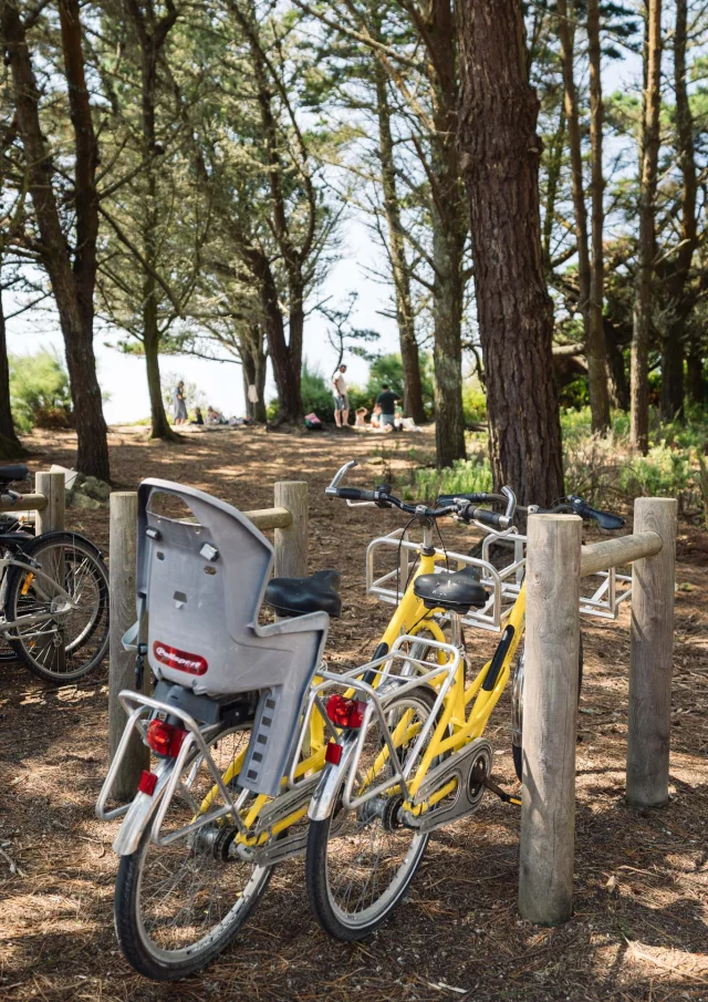 Photographe - vidéaste