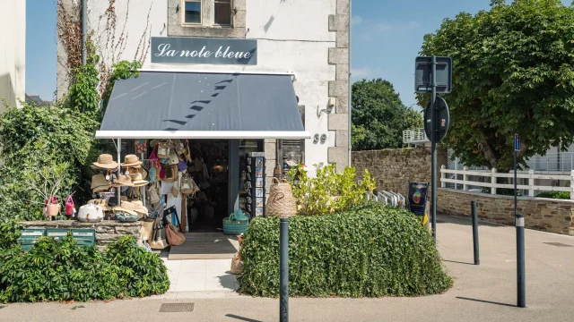 Photographe - vidéaste