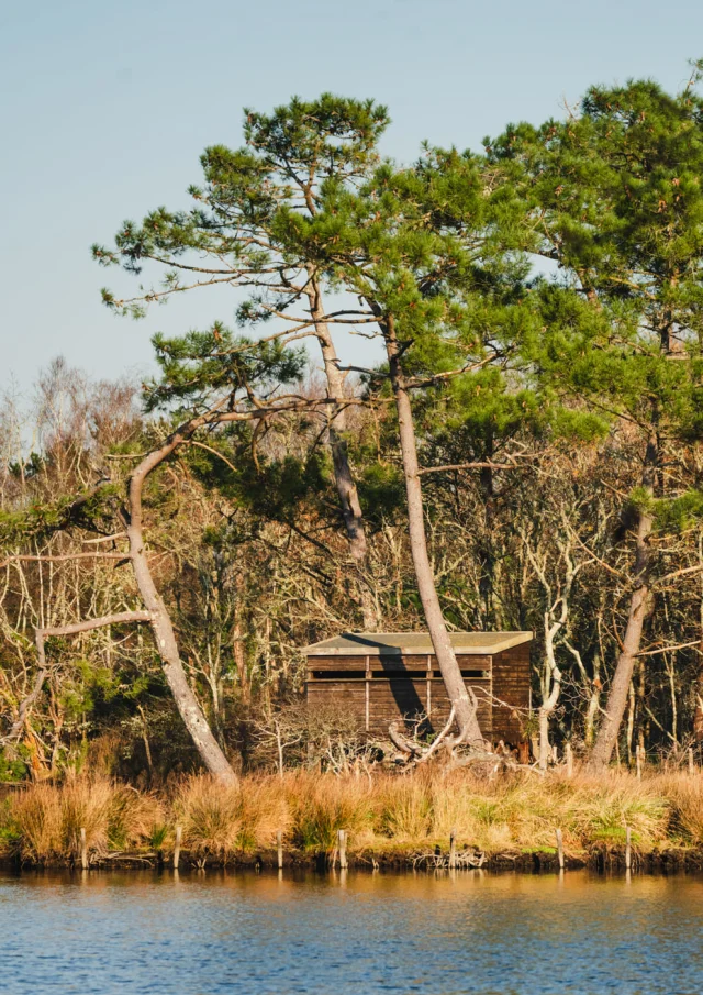 160 La Riviera Bretonne Decembre 2024 Bd