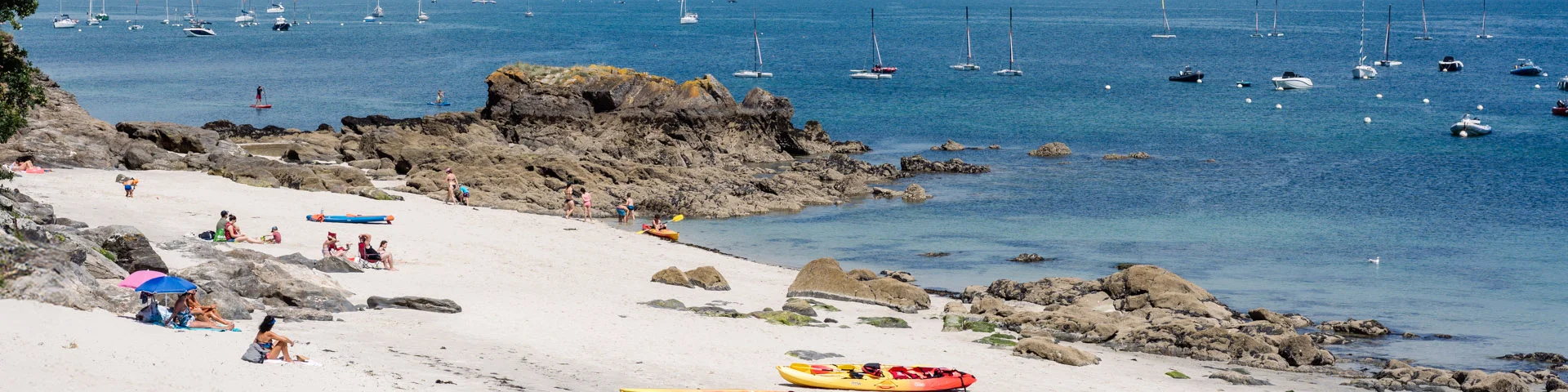 Photographe - vidéaste