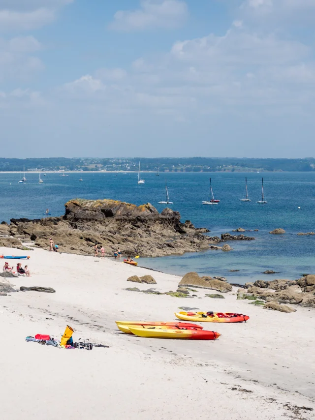 Photographe - vidéaste