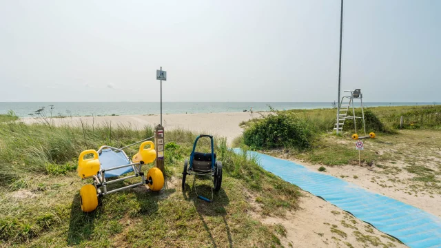 Photographe - vidéaste